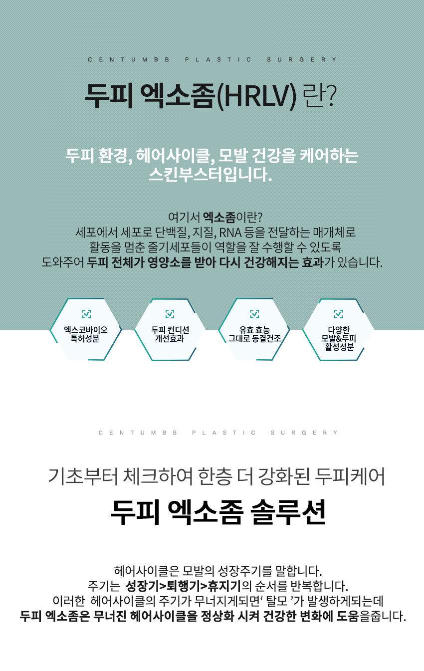 두피탈모치료